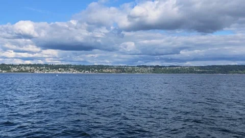 Killer Whale, Orca, Spyhopping From A Distance; 4K Wildlife Boat Tours In Stock Footage 345096331