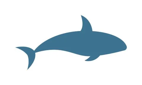 Killer whale Orcinus orca vector isolated on white background Stock Illustration