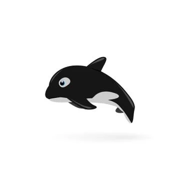The killer whale (Orcinus orca) Vector illustration. Stock Illustration