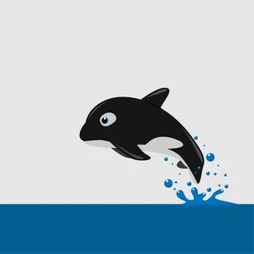 The killer whale (Orcinus orca) Vector illustration. Ilustración de archivo