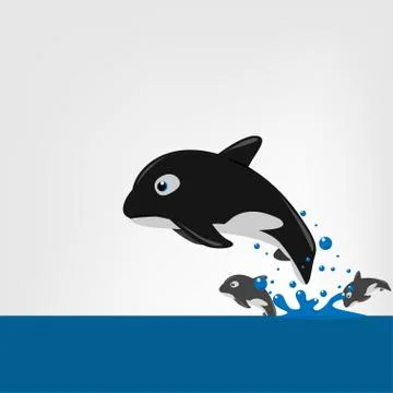 The killer whale (Orcinus orca) Vector illustration. Stock Illustration