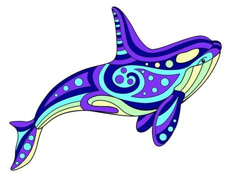 Killer whale - vector linear color illustration. Orca Stock-Illustration
