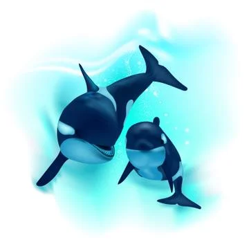 Killer whales in the ocean Stock Illustration