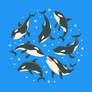 Killer Whales Pattern of Round Shape, Grampus or Orcinus Orca Whale Marine Stock Illustration