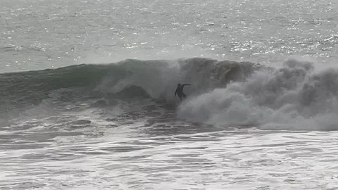 The killers spot surf riding, Morocco Stock Footage 248666568