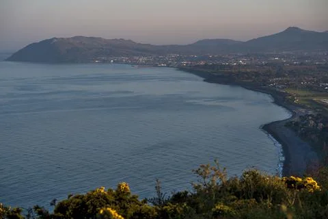Killiney Beach, Bray Head, Little Sugar Loaf and yellow gorse (Ulex) flowers Stock Photos