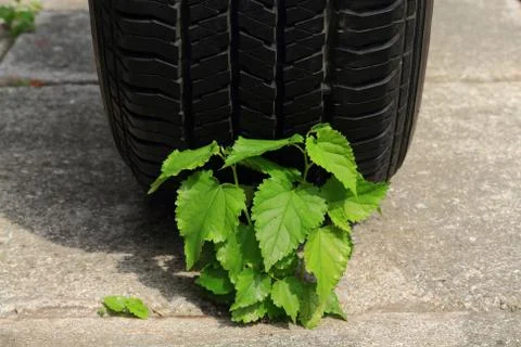 Killing environment Stock Photos