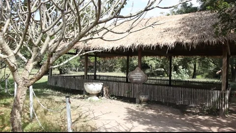 THE KILLING FIELDS CAMBODIA_LDA_N_00100.MOV  Stock Footage 2242653