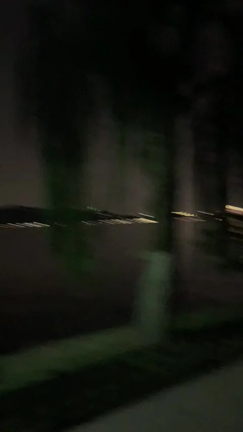 Killing insects light by night in Hangzhou 스톡 동영상 341361980