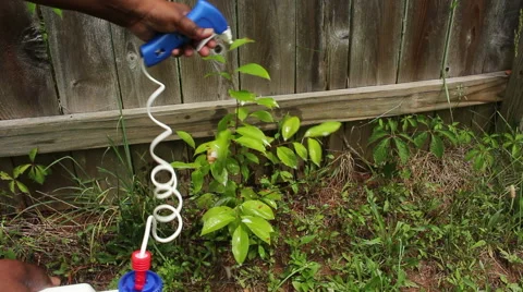 Killing Weeds Video stock 50722062