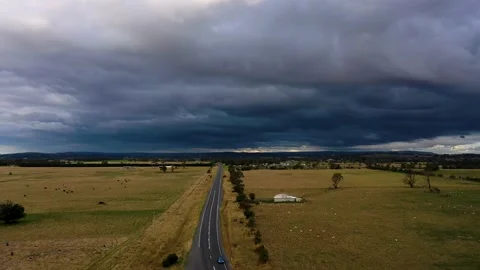 Kilmore Sheep &amp; Cattle Graze Stock Footage 161446459