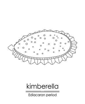 Kimberella Stock Illustration