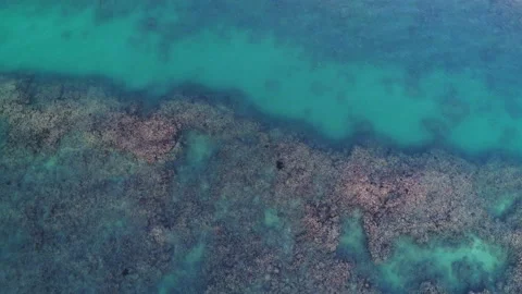 Kimberley reef  from above Stock Footage 188442713