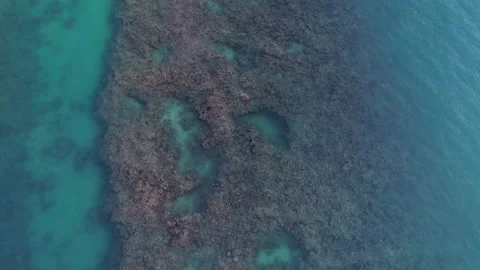 Kimberley reef  cable beach Stock Footage 188442611