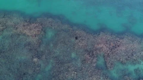 Kimberley reef Stock Footage 188442503
