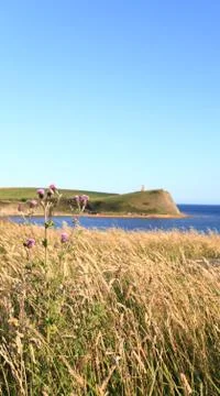 Kimmeridge bay Stock Photos