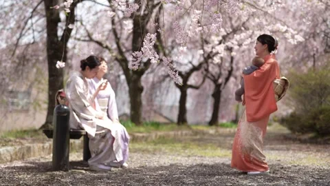 Kimono-Clad People with Infant on Cherry Blossom Path Stock-Footage 344860366