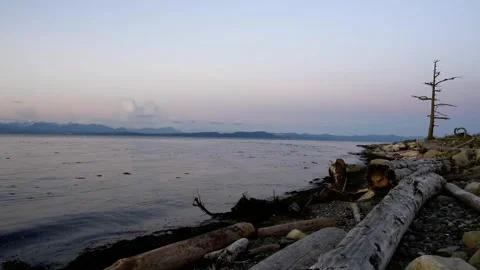 Kin Beach 1 Stock Footage 243123469