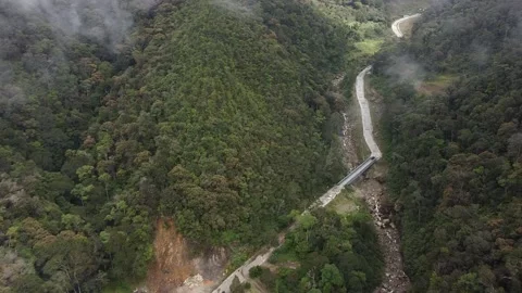 Kinabalu park bridge 库存影片 142222803