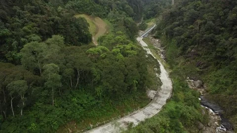 Kinabalu park Stock Footage
