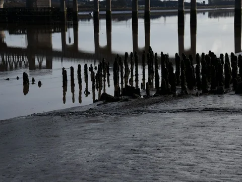 Kincardine Bridge Forth Tide Timelapse 動画素材 76317822