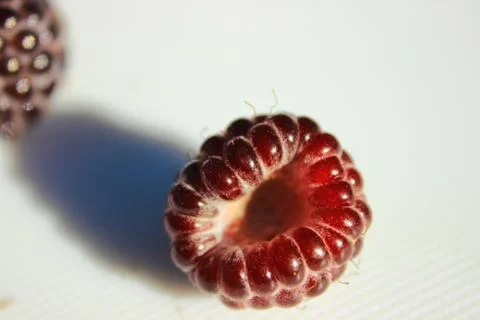 A kind of black raspberry without a stack Foto stock