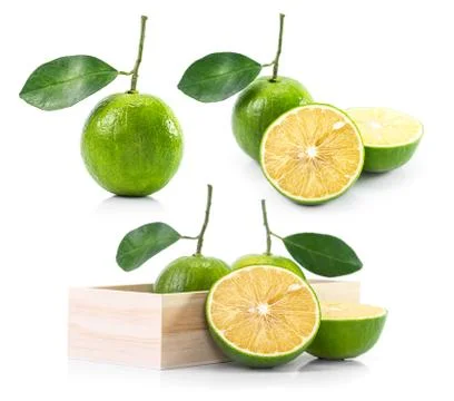 Kind of orange Stock Photos