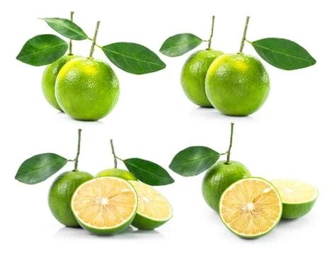 Kind of orange Stock Photos