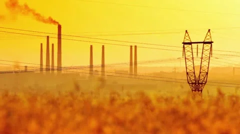 Kind on plants is a foreground the field of wheat Stock Footage 11236282