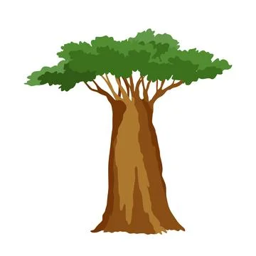 Kind of tree icon, baobab. Deciduous plant. Green crowns and lush foliage with Stock Illustration