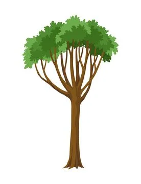 Kind of tree icon. Deciduous plant. Green crowns and lush foliage with natural Ilustração Stock
