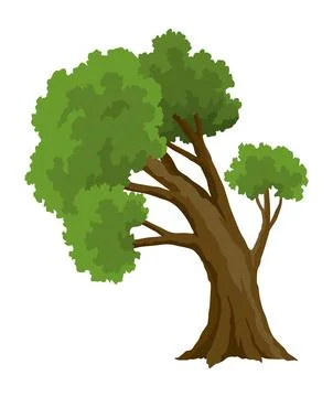 Kind of tree icon, oak. Deciduous plant. Green crowns and lush foliage with Stock Illustration