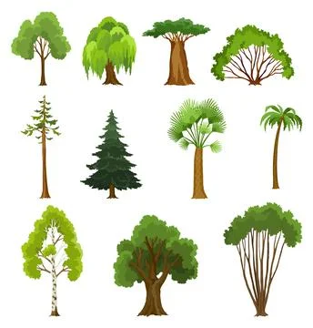 Kind of tree icon set. Various coniferous or deciduous plants. Green crowns Stock Illustration