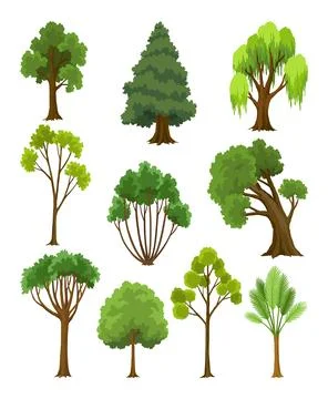 Kind of tree icon set. Various coniferous or deciduous plants. Green crowns Stock Illustration