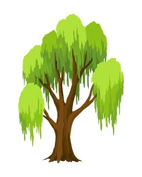 Kind of tree icon, willow. Deciduous plant. Green crowns and lush foliage with Stock Illustration