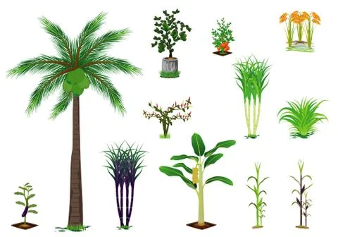 Kind of vegetable on white background vector design Stock Illustration