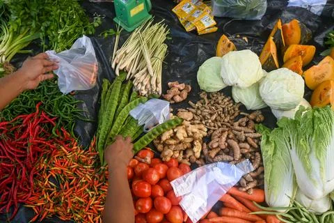 Kind of vegetables Stock Photos
