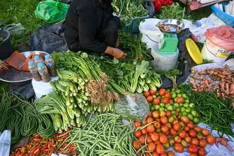 Kind of vegetables Stock Photos
