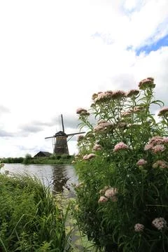 Kinderdijk 13 Foto stock