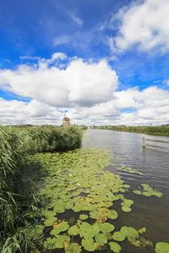 Kinderdijk 14 Foto stock