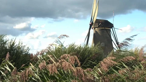 Kinderdijk in Holland windmills Stock Footage 99764255