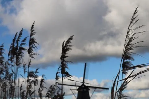 Kinderdijk Stock Photos