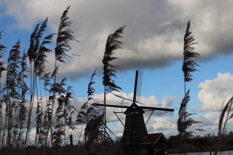 Kinderdijk Stock Photos