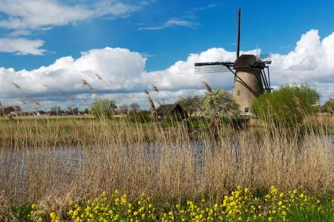 Kinderdijk windmill. Stock Photos