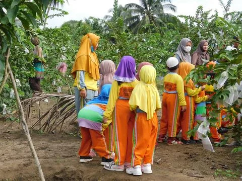 Kindergarten students Stock Photos