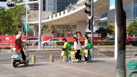 Kindergartners cross the street Stock Footage 304684683