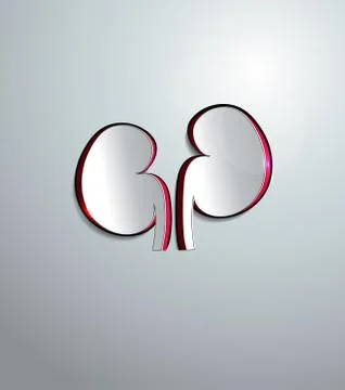 Kindeys of the paper Stock Illustration