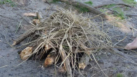 Kindle fire with flint. Stock Footage 90758112