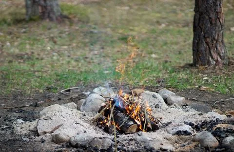 Kindle a fire in the forest while resting Stock Photos