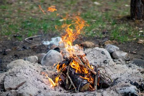 Kindle a fire in the forest while resting Stock Photos